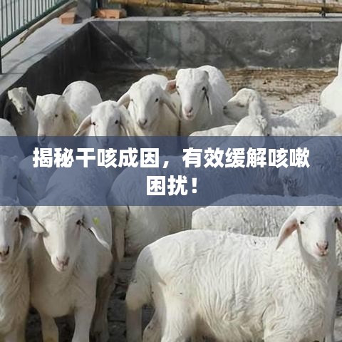 揭秘干咳成因，有效緩解咳嗽困擾！