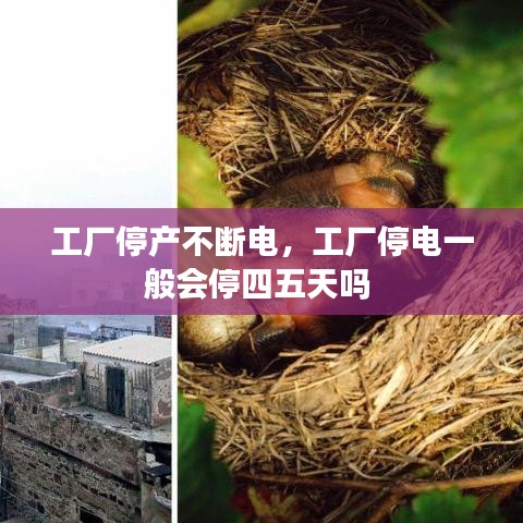 工廠停產不斷電，工廠停電一般會停四五天嗎 