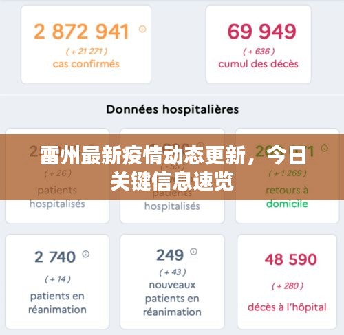雷州最新疫情動態(tài)更新，今日關(guān)鍵信息速覽