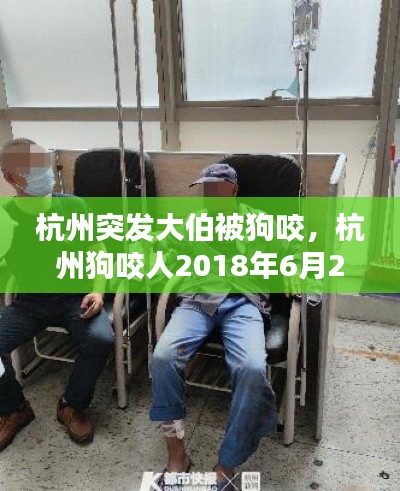 杭州突發(fā)大伯被狗咬，杭州狗咬人2018年6月29 