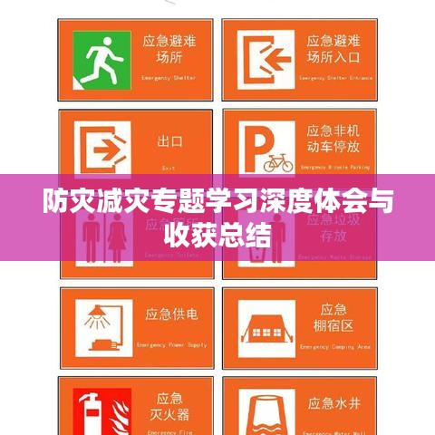 防災減災專題學習深度體會與收獲總結