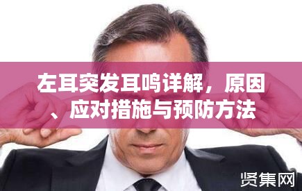 左耳突發(fā)耳鳴詳解，原因、應(yīng)對措施與預(yù)防方法