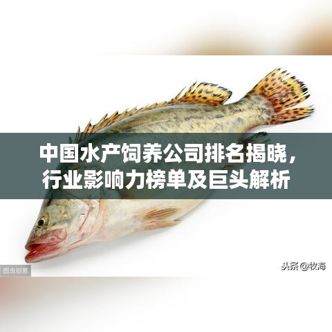 中國水產(chǎn)飼養(yǎng)公司排名揭曉，行業(yè)影響力榜單及巨頭解析