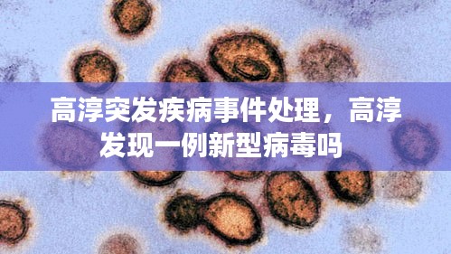 高淳突發(fā)疾病事件處理，高淳發(fā)現(xiàn)一例新型病毒嗎 