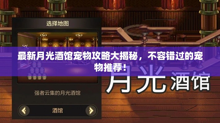 最新月光酒館寵物攻略大揭秘，不容錯(cuò)過(guò)的寵物推薦！