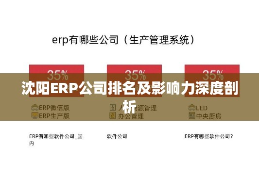 沈陽(yáng)ERP公司排名及影響力深度剖析