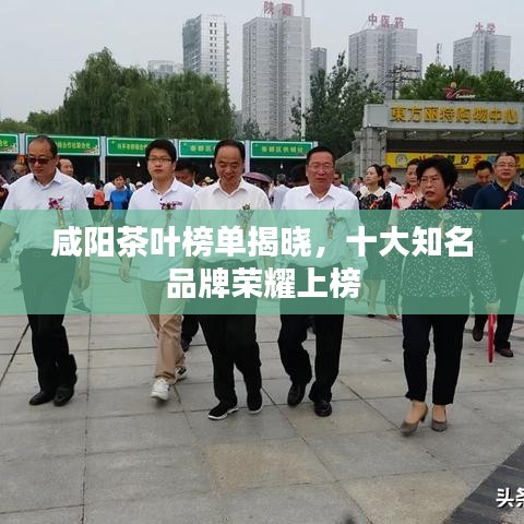 咸陽(yáng)茶葉榜單揭曉，十大知名品牌榮耀上榜