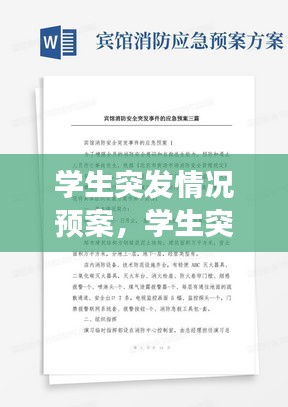 學(xué)生突發(fā)情況預(yù)案，學(xué)生突發(fā)事件應(yīng)對情況記錄內(nèi)容 