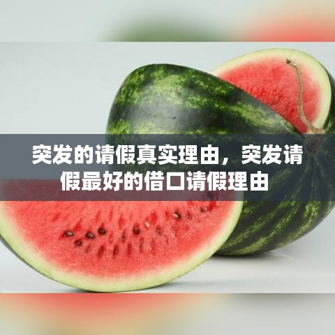 突發(fā)的請假真實理由，突發(fā)請假最好的借口請假理由 