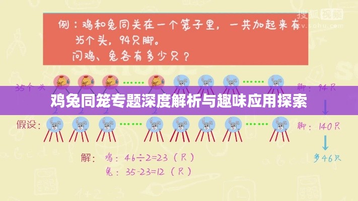 雞兔同籠專題深度解析與趣味應(yīng)用探索