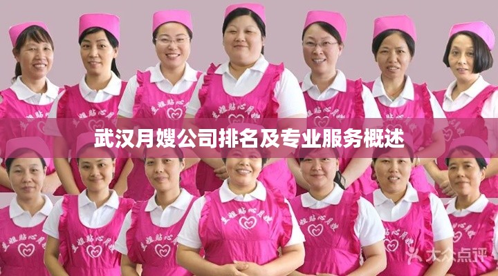 武漢月嫂公司排名及專業(yè)服務(wù)概述