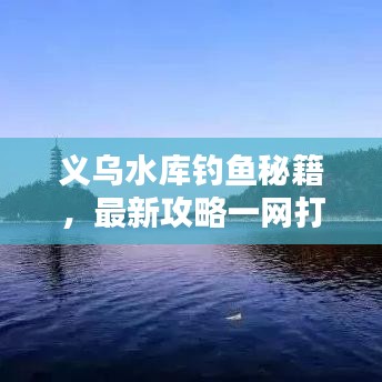 義烏水庫釣魚秘籍，最新攻略一網(wǎng)打盡！