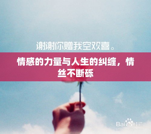 情感的力量與人生的糾纏，情絲不斷礫