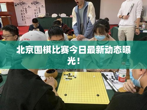 北京圍棋比賽今日最新動(dòng)態(tài)曝光！
