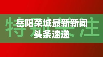 岳陽榮城最新新聞頭條速遞