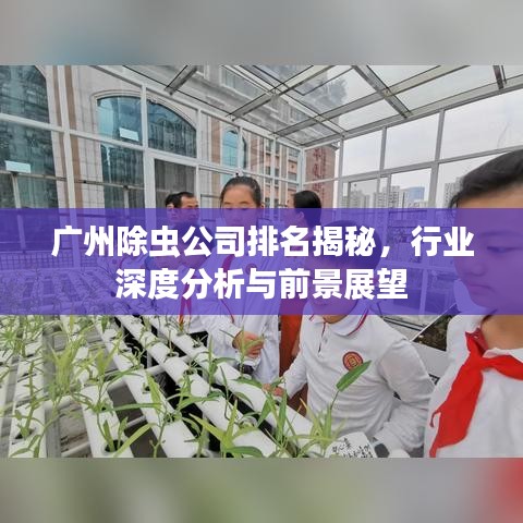 廣州除蟲公司排名揭秘，行業(yè)深度分析與前景展望