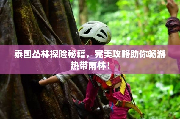 泰國叢林探險(xiǎn)秘籍，完美攻略助你暢游熱帶雨林！