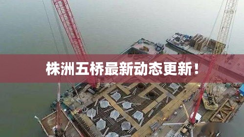 株洲五橋最新動(dòng)態(tài)更新！