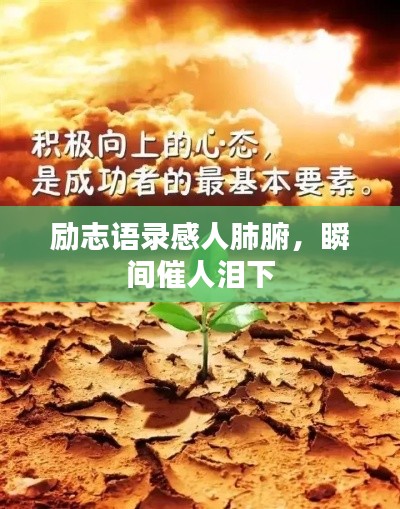 勵(lì)志語(yǔ)錄感人肺腑，瞬間催人淚下