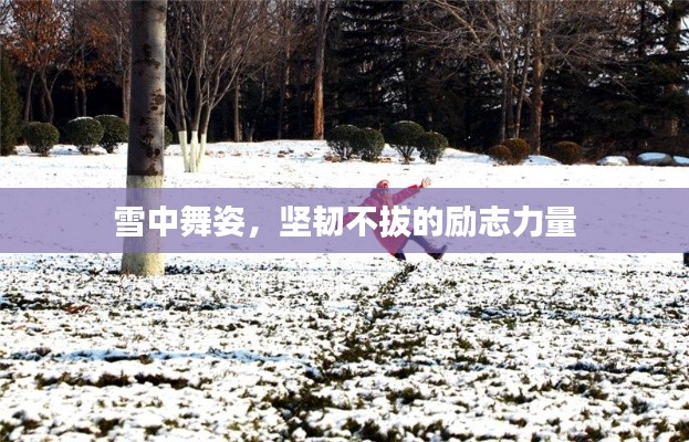 雪中舞姿，堅(jiān)韌不拔的勵(lì)志力量