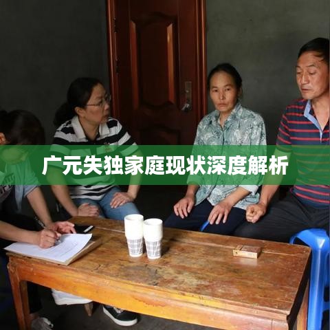 廣元失獨家庭現(xiàn)狀深度解析