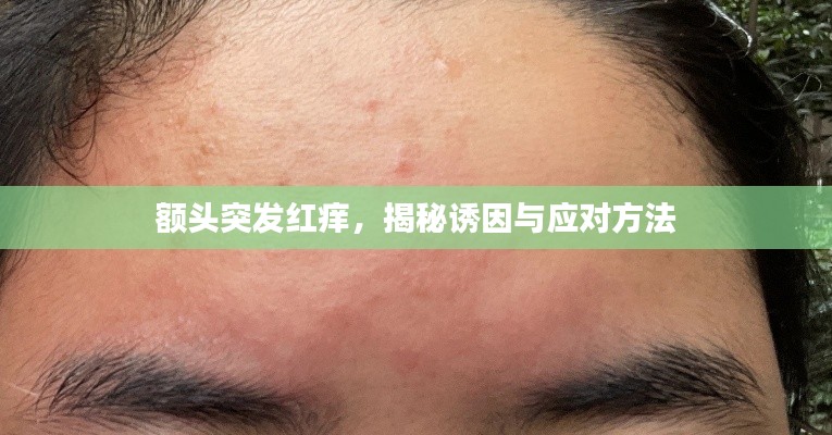 額頭突發(fā)紅癢，揭秘誘因與應(yīng)對(duì)方法