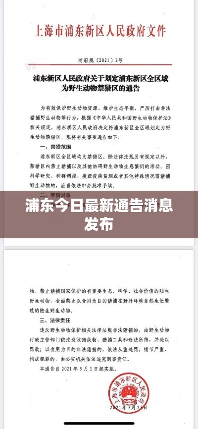 浦東今日最新通告消息發(fā)布