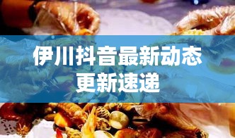 伊川抖音最新動(dòng)態(tài)更新速遞