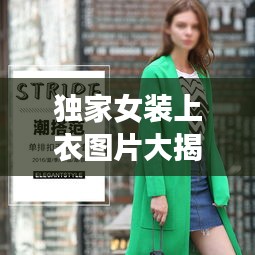 獨家女裝上衣圖片大揭秘，引領(lǐng)女裝新風(fēng)尚的魅力探索