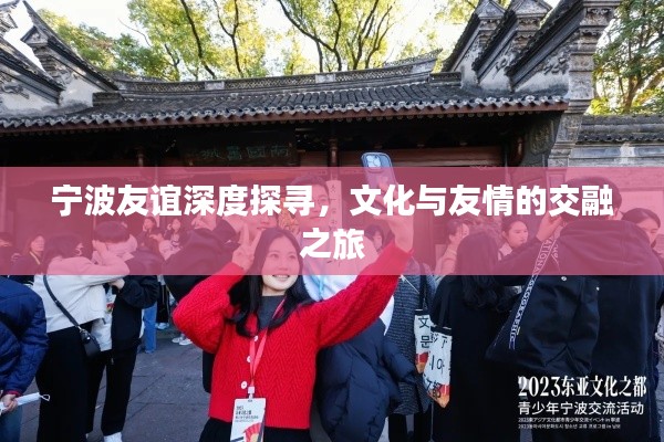 寧波友誼深度探尋，文化與友情的交融之旅