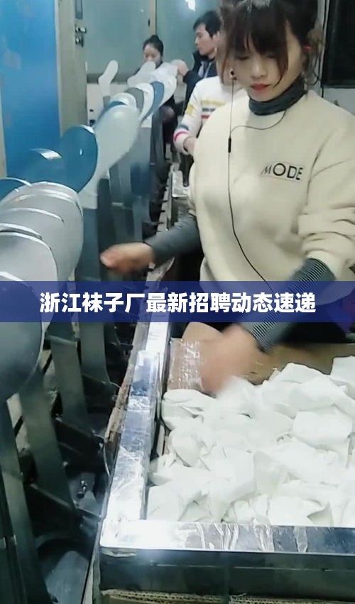 浙江襪子廠最新招聘動(dòng)態(tài)速遞