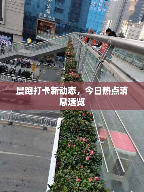 晨跑打卡新動態(tài)，今日熱點消息速覽