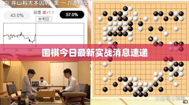 圍棋今日最新實戰(zhàn)消息速遞