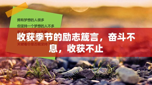 收獲季節(jié)的勵(lì)志箴言，奮斗不息，收獲不止