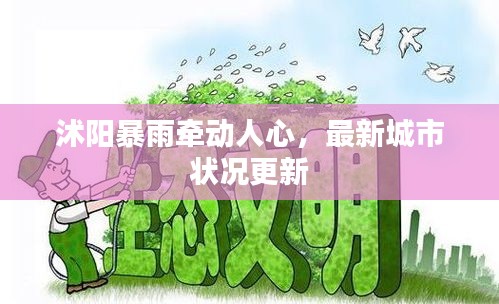 沭陽暴雨牽動人心，最新城市狀況更新