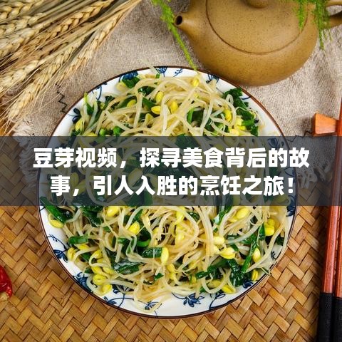 豆芽視頻，探尋美食背后的故事，引人入勝的烹飪之旅！