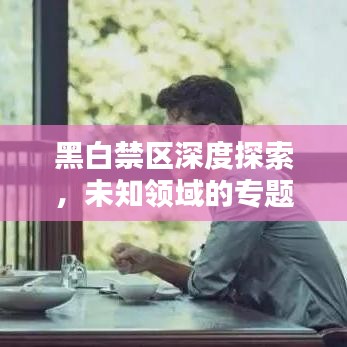 黑白禁區(qū)深度探索，未知領(lǐng)域的專題揭秘