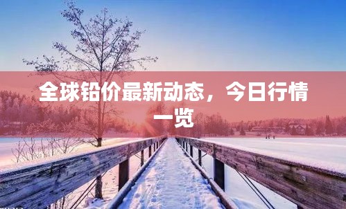 全球鉛價(jià)最新動(dòng)態(tài)，今日行情一覽