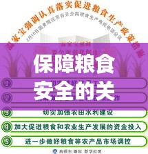 保障糧食安全的關(guān)鍵路徑，嚴(yán)格落實(shí)涉糧政策措施