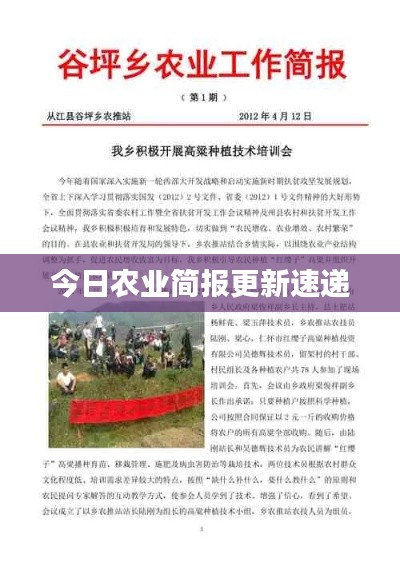 今日農(nóng)業(yè)簡報更新速遞