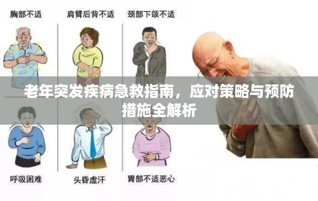 老年突發(fā)疾病急救指南，應(yīng)對(duì)策略與預(yù)防措施全解析