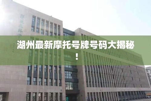 湖州最新摩托號牌號碼大揭秘！