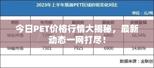 今日PET價格行情大揭秘，最新動態(tài)一網(wǎng)打盡！