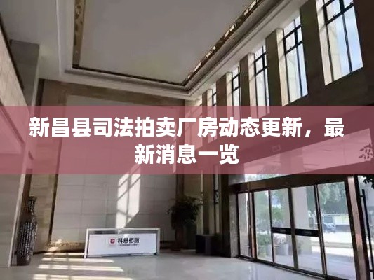 新昌縣司法拍賣廠房動態(tài)更新，最新消息一覽