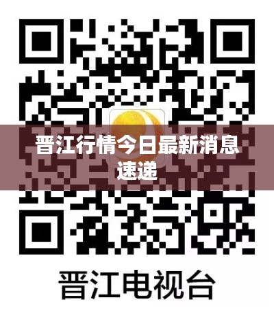 晉江行情今日最新消息速遞