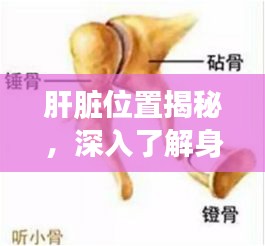 南轅北轍 第2頁(yè)