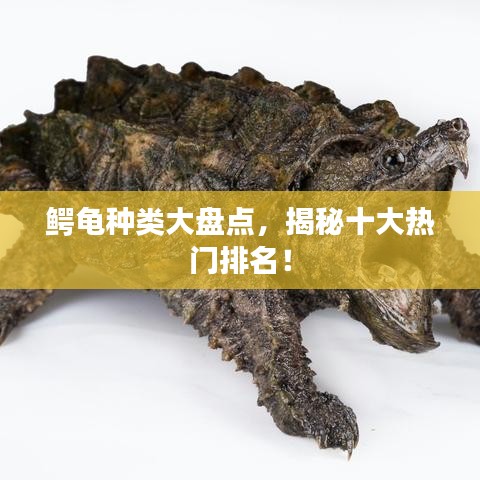 程門飛雪 第3頁