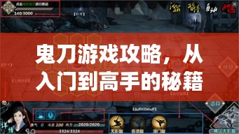鬼刀游戲攻略，從入門(mén)到高手的秘籍指南！