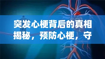突發(fā)心梗背后的真相揭秘，預(yù)防心梗，守護(hù)心血管健康之道