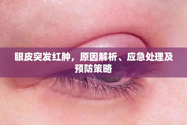 眼皮突發(fā)紅腫，原因解析、應(yīng)急處理及預(yù)防策略